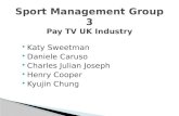 Pay TV UK Industry Final (1)