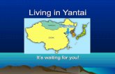 Living in Yantai