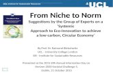 Expert Group Report: From Niche to Norm – Raimund Bleischwitz