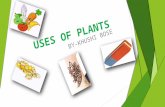 Uses of Plants   Khushi Bose VI - C