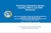 Financing Substantive Gender Equality within a New SDG Framework
