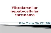Fibrolamellar hepatocellular carcinoma- ung thư tế bào gan dạng xơ dẹt