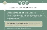 Assessment of leg ulcers and advances in endovascular treatment