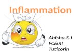Inflammation in skin