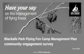 Community consultation - Blackalls Park Flying-fox camp management
