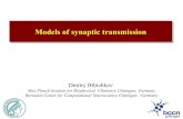 Models of Synaptic Transmission (1)