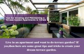 Tips For Growing And Maintaining A Terrace Garden Apartments In Kerala