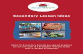 Secondary Lesson Ideas