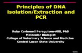 Principles of DNA isolation, PCR and LAMP