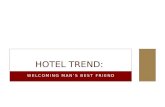 Hotel Trend: Man's Best Friend