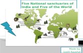 India’s five national sanctuaries