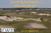 Creating blowouts - Camlie Aggenbach