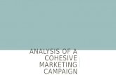 Analysis of a cohesive marketing campaign