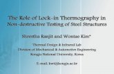 The Role of Lock-in Thermography in Non-destructive Testing of Steel Structures