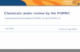 Chemicals under review by the Persistent Organic Pollutants Review Committee (POPRC)