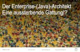 Der Enterprise-Java-Architekt – eine aussterbende Gattung!?