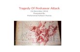 Peshawar attack