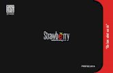 Strawberry ads media profile 2016 LV (2) (1)