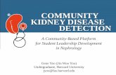 Chronic Kidney Disease Detection (CKDD)