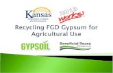 Recycling FGD Gypsum for Agricultural Use