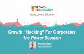 Growth marketing for corporates - Intro session - ING innovation leaders