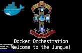 Docker Orchestration: Welcome to the Jungle! Devoxx & Docker Meetup Tour Nov 2015