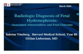 Radiologic Diagnosis of Fetal Hydronephrosis