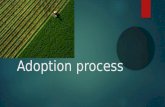 Adoption process and stages