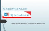 NJ INDIA INVEST PVT