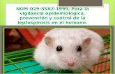 NOM-029-SSA2-1999 Para la vigilancia epidemiológica, prevención y control de la leptospirosis en el humano.