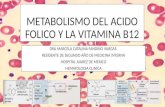 Metabolismo del acido folico y la vitamina b12
