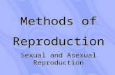 Methods of reproduction