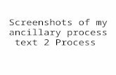 Screenshots of my ancillary process text 2 process
