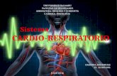Sistema Cardio-Respiratorio
