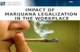 Impact of Marijuana Legalization in the Workplace