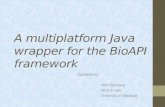 A multiplatform Java wrapper for the BioAPI framework