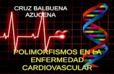Polimorfismos asociados a la enfermedad cardiovascular