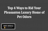 Top 4 Ways to Rid Your Pleasanton Luxury Home of Pet Odors