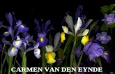 Carmen Van Den Eynde