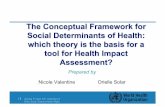 The Conceptual Framework for Social Determinants of Health: which ...