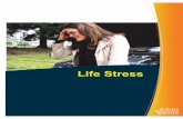 SMVF Resource for Life Stress
