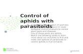 Control of aphids with parasitoids