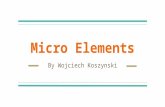 3.micro elements wojciech