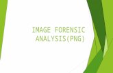 Image (PNG) Forensic Analysis