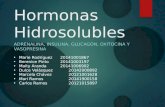 Hormonas hidrosolubles presentation