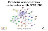 Protein association networks with STRING