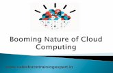 Booming nature of cloud computing