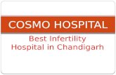 Infertility clinics in mohali - cosmo hospital