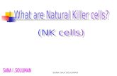 Natural killer cells