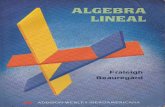 álgebra lineal (j. fraleigh y r. beauregard)